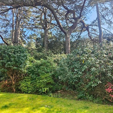 Peaceful Getaway In Forested Park Bournemouth Kültér fotó