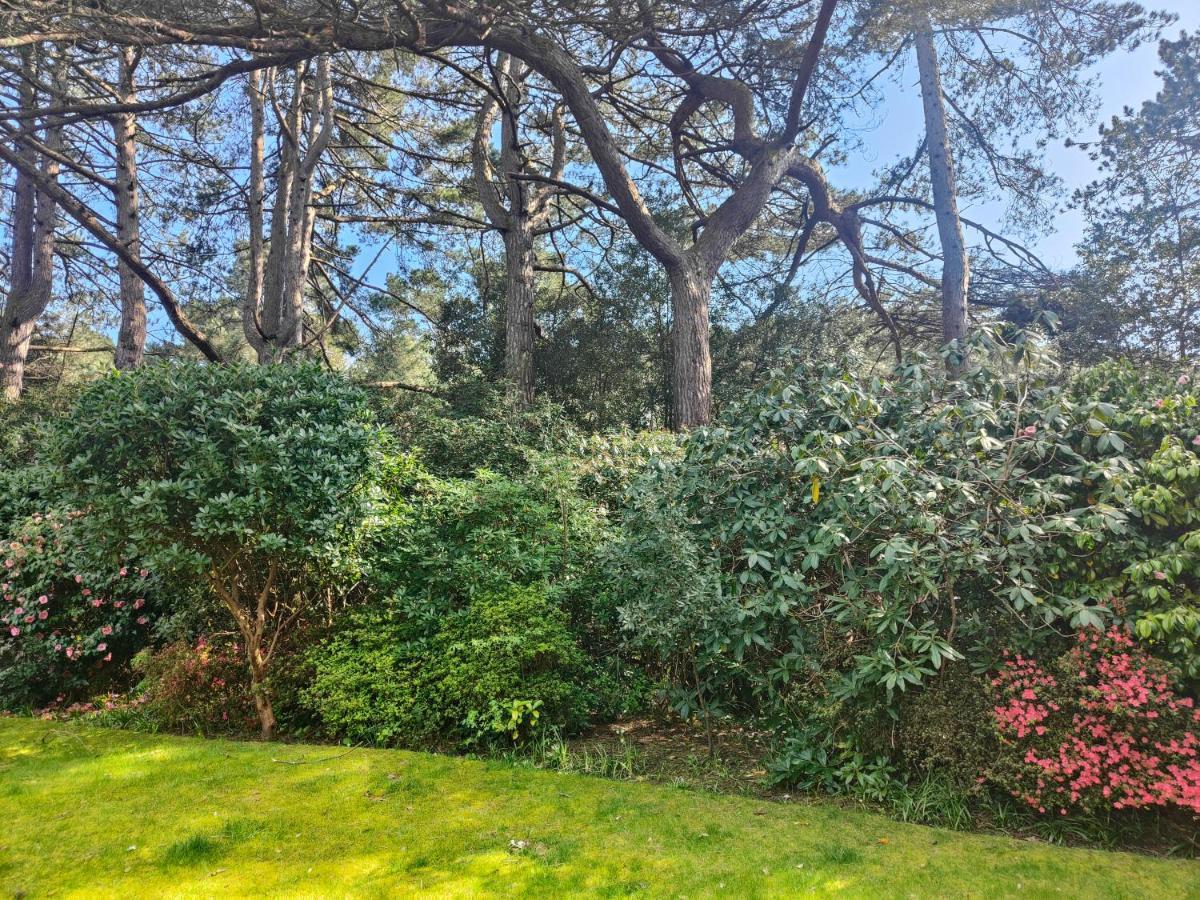 Peaceful Getaway In Forested Park Bournemouth Kültér fotó