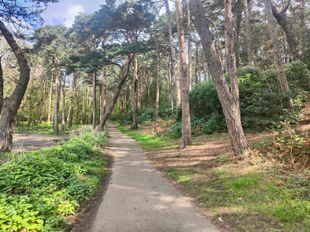 Peaceful Getaway In Forested Park Bournemouth Kültér fotó